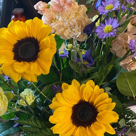 Meet your Posher, Barb - Picture 2 of 2